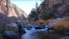 "Fly Fishing New Mexico | DIY Box Canyon"