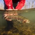 Author and Fly Fishing Event Founder Beau Beasley Profiled