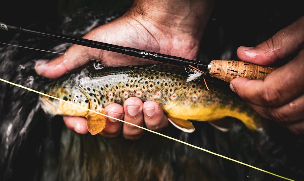 2wt
