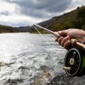 How to Cure Tailing Loops