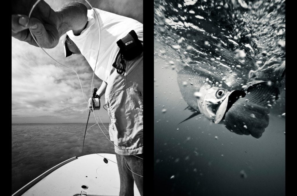 tarpon guides