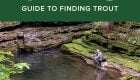 Book Excerpt: "The Orvis Guide to Finding Trout"