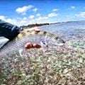 How A Cuban Exile Changed Fly Fishing