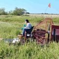 Glyphosate Hysteria: Threat to Aquatic Ecosystems or Concocted Controversy