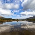 AFF Launches Salmonfly Project on Yellowstone River
