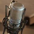 Podcast Roundup