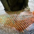 Trip Report: MidCurrent's 2025 Hosted Expedition to Guyana