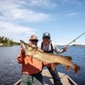 Photo Essay: Gators of the Cree