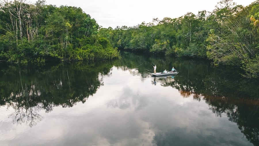 Amazon Rainforest fly fishing