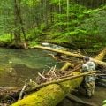 How to Find Fishable Waters in the Mountains During High Water