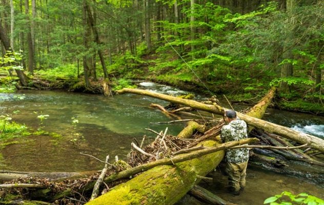 How to Find Fishable Waters in the Mountains During High Water