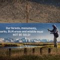 Take Action to Protect Public Land