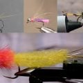 Tying Tuesday: Beauty and the Beasts