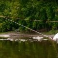 Ed Jaworowski's Fly Casting Video 4: Focus on the Backcast