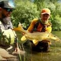 Barbel Fly Fishing in Italy