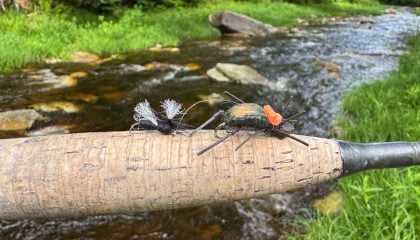 How to Catch More Trout on Beetles and Ants