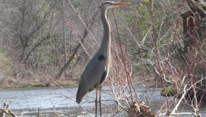 "Sometimes the Fish Don’t Bite," by Jim Mize