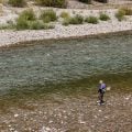 Montana Fisheries Official Warns of Low-Water Summer