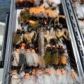 5 Must-Have Salmonfly Patterns