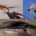 Tying Tuesday: Attractors All Around