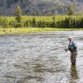Afternoon Closures Due to Heat on Some Rivers in Yellowstone
